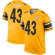Youth Gold Legend Troy Polamalu Pittsburgh Inverted Jersey
